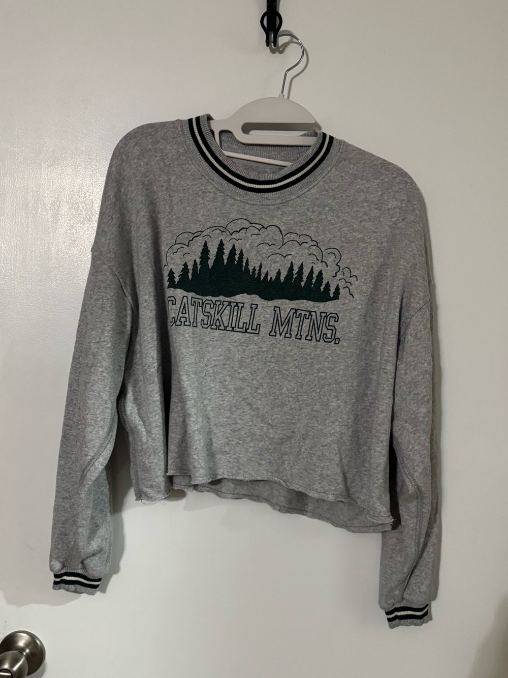 American Eagle Outfitters Gray Cropped Crewneck with Dark Green Forest Graphic